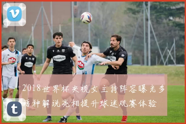 2018世界杯央视女主持阵容曝光多语种解说亮相提升球迷观赛体验