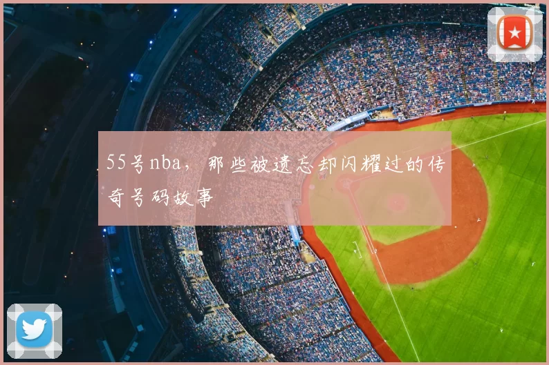 55号nba,那些被遗忘却闪耀过的传奇号码故事