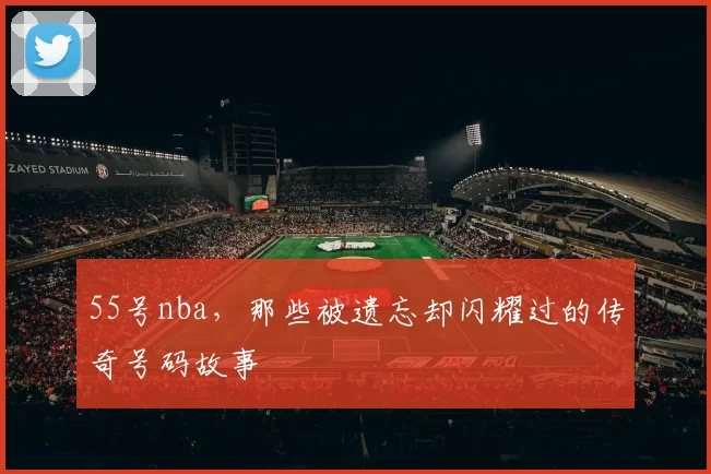 55号nba,那些被遗忘却闪耀过的传奇号码故事